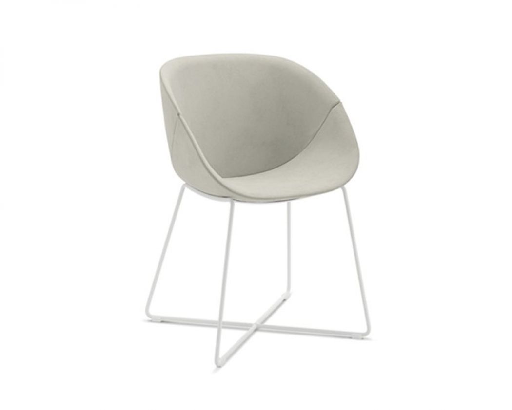 Coquille-T